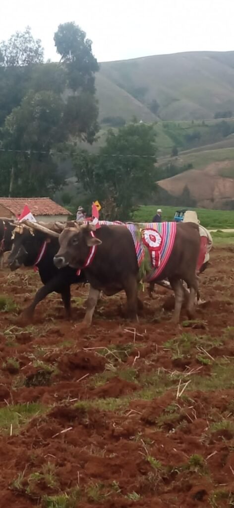 Misión y Visión – Municipalidad Distrital de Masma Chicche